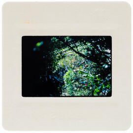 [slide]